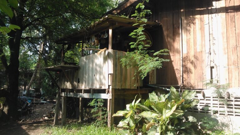 Phibun Mangsahan District, Thailand — May 15, 2013 · 8:36 AM