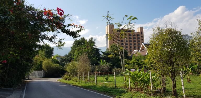Chiang Mai City Municipality, Thailand — January 7, 2018 · 7:38 AM