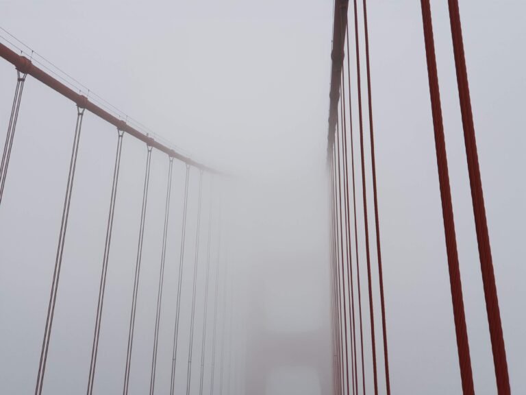 San Francisco, California, United States — August 12, 2018 · 7:18 PM