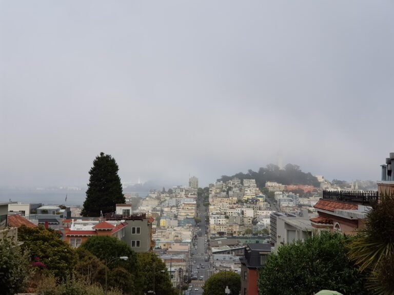 San Francisco, California, United States — August 13, 2018 · 1:05 AM