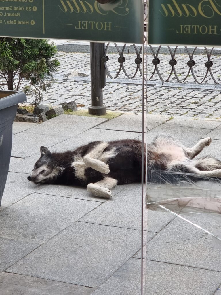 Batumi, Autonomous Republic of Adjara, Georgia — April 29, 2022 · 8:04 AM