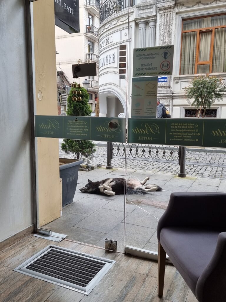 Batumi, Autonomous Republic of Adjara, Georgia — April 29, 2022 · 8:04 AM