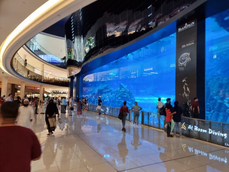 Dubai, Dubai Emirate, United Arab Emirates — May 27, 2022 · 7:33 AM