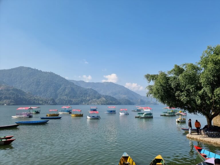 Pokhara, Gandaki Province, Nepal — November 27, 2022 · 5:37 AM