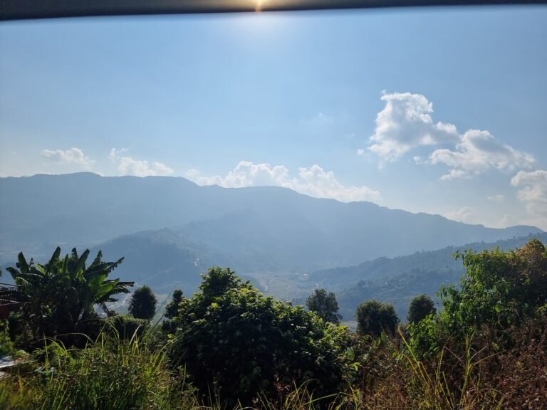 Pokhara, Gandaki Province, Nepal — November 28, 2022 · 8:05 AM