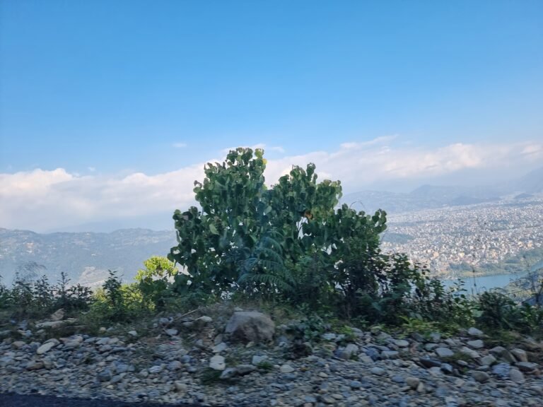 Pokhara, Gandaki Province, Nepal — November 28, 2022 · 8:10 AM