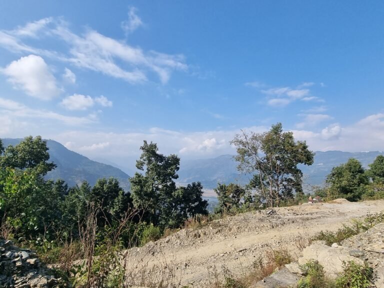 Pokhara, Gandaki Province, Nepal — November 28, 2022 · 8:17 AM