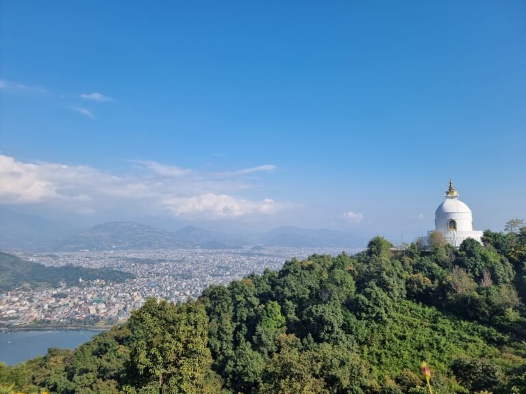 Pokhara, Gandaki Province, Nepal — November 28, 2022 · 8:26 AM