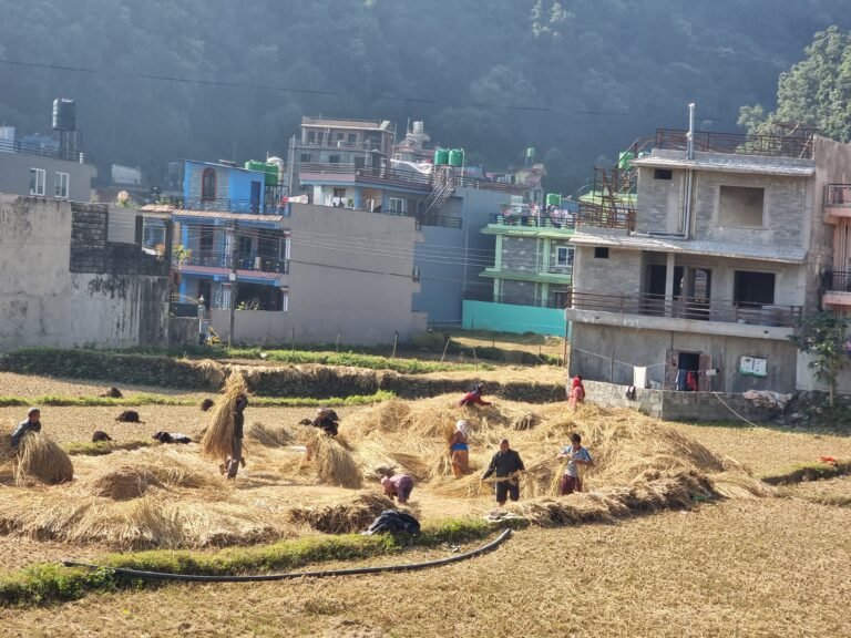 Pokhara, Gandaki Province, Nepal — November 29, 2022 · 4:52 AM