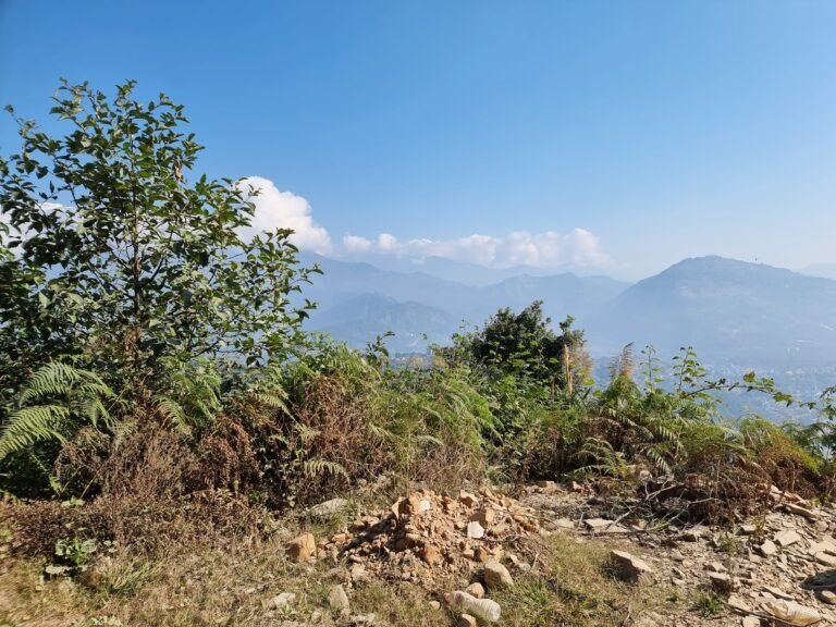 Pokhara, Gandaki Province, Nepal — November 29, 2022 · 5:21 AM