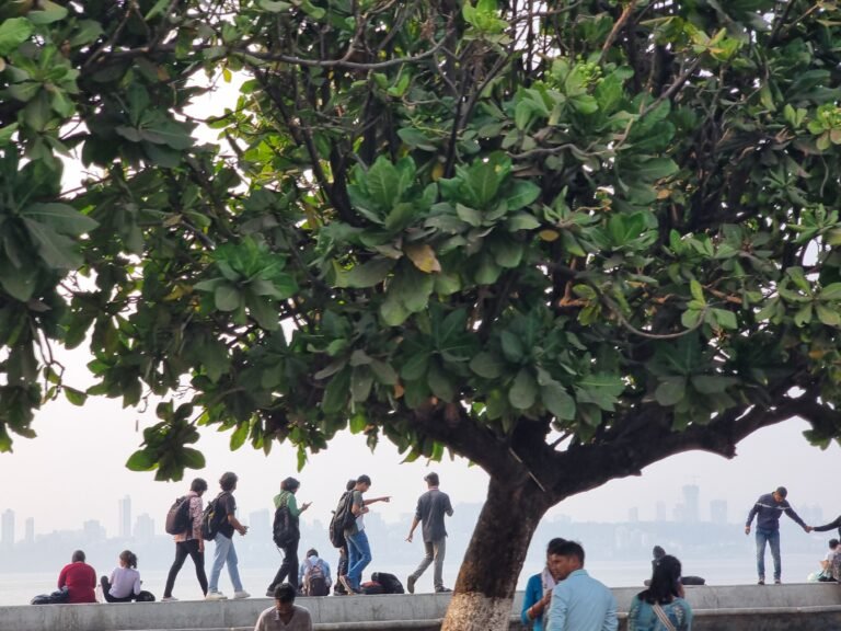 Mumbai, Maharashtra, India — March 4, 2023 · 11:04 AM