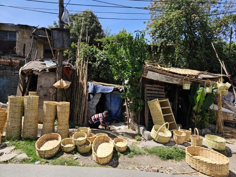Addis Ababa, Ethiopia — February 24, 2024 · 10:53 AM