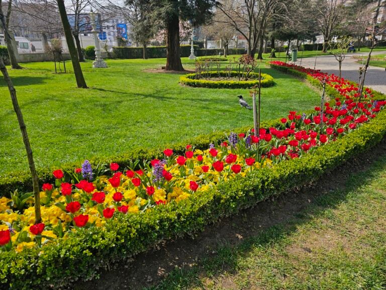 Istanbul, Marmara Region, Turkey — March 30, 2024 · 8:20 AM