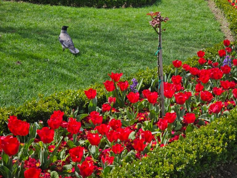 Istanbul, Marmara Region, Turkey — March 30, 2024 · 8:20 AM