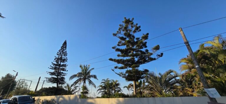 Ponta do Ouro, Maputo Province, Mozambique — June 18, 2024 · 1:50 PM