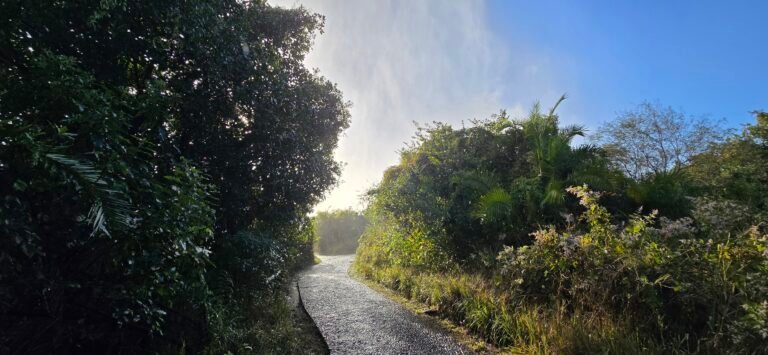 Victoria Falls, Zimbabwe — July 10, 2024 · 6:05 AM