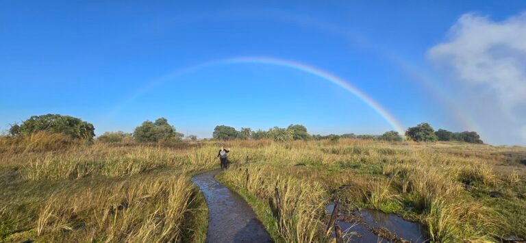 Victoria Falls, Zimbabwe — July 10, 2024 · 6:24 AM