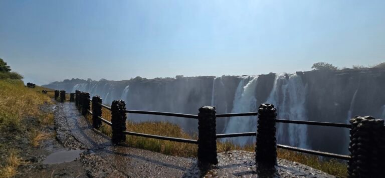 Livingstone, Southern Province, Zambia — July 11, 2024 · 10:45 AM