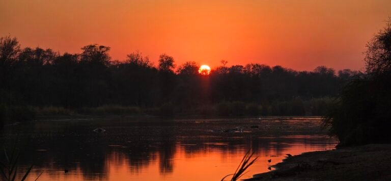 Skukuza, Mpumalanga, South Africa — July 14, 2024 · 4:47 AM