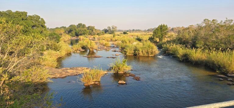 Skukuza, Mpumalanga, South Africa — July 14, 2024 · 6:10 AM