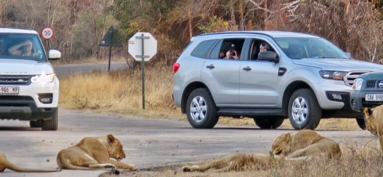 Skukuza Rest Camp, Mbombela, Ehlanzeni, Mpumalanga, South Africa — July 14, 2024 · 3:00 PM