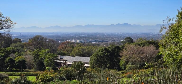 Cape Town, Western Cape, South Africa — July 22, 2024 · 10:31 AM