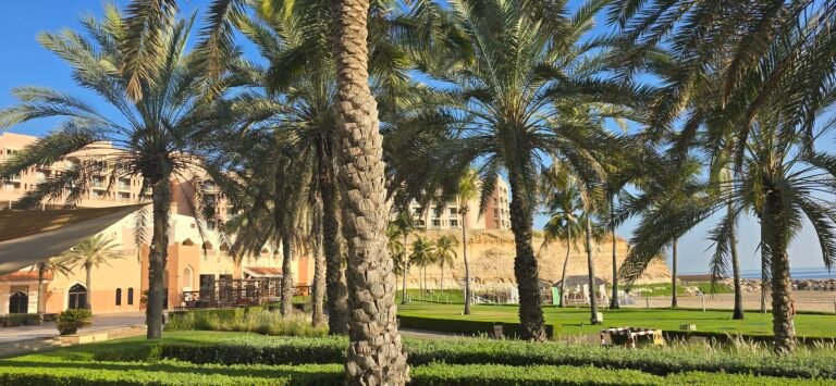 Muscat, Muscat Governorate, Oman — November 7, 2024 · 3:39 AM