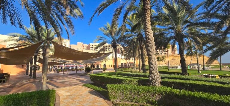 Muscat, Muscat Governorate, Oman — November 7, 2024 · 3:39 AM