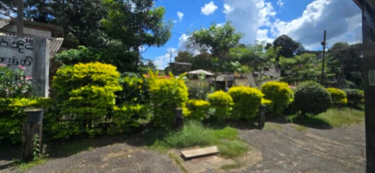 Kandy, Central Province, Sri Lanka — November 11, 2024 · 7:20 AM