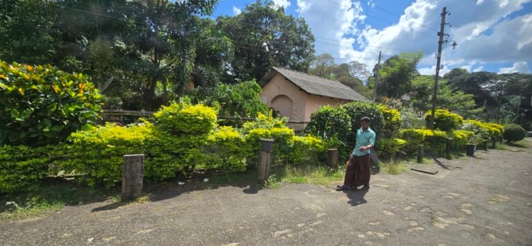 Kandy, Central Province, Sri Lanka — November 11, 2024 · 7:20 AM