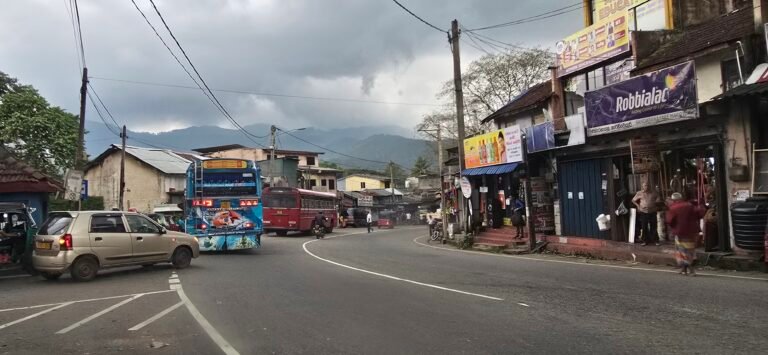Kandy, Central Province, Sri Lanka — November 13, 2024 · 9:39 AM