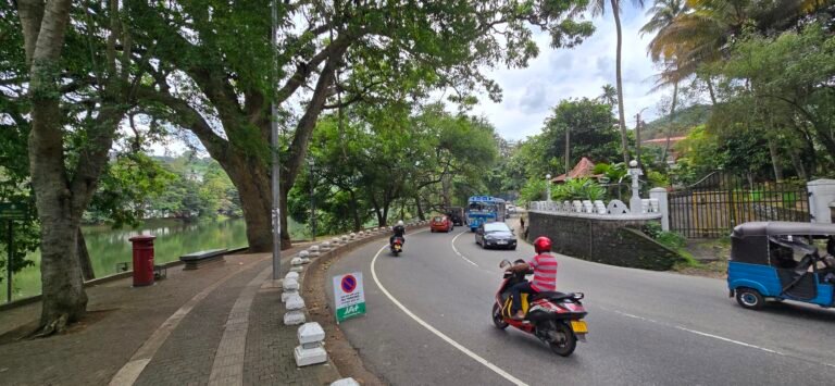 Kandy, Central Province, Sri Lanka — November 14, 2024 · 6:25 AM