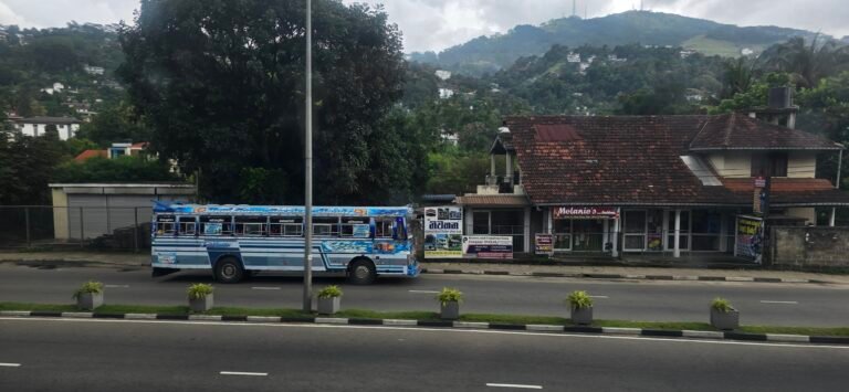 Kandy, Central Province, Sri Lanka — November 14, 2024 · 9:36 AM