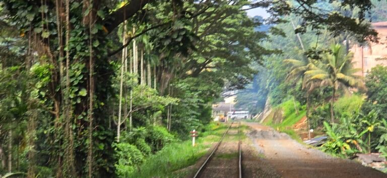 Kandy, Central Province, Sri Lanka — November 14, 2024 · 9:39 AM