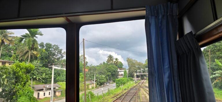 Kandy, Central Province, Sri Lanka — November 14, 2024 · 9:43 AM