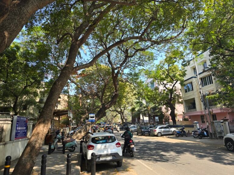 Chennai, Tamil Nadu, India — February 22, 2025 · 8:53 AM