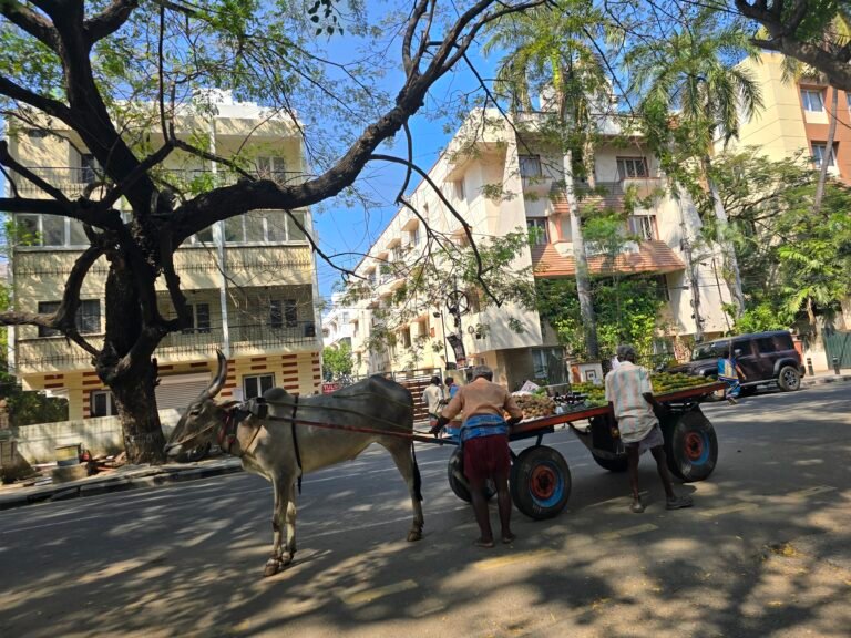 Chennai, Tamil Nadu, India — February 22, 2025 · 8:59 AM