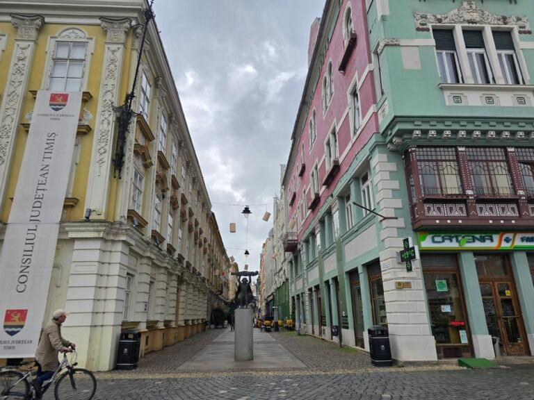Timișoara, Romania — March 25, 2025 · 9:50 AM