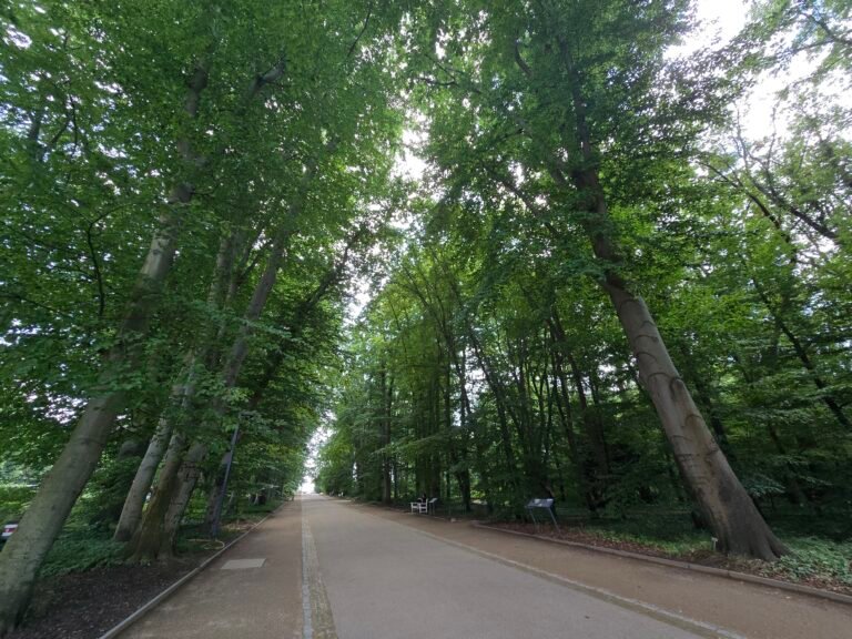 Berlin, Germany — July 19, 2025 · 10:09 AM