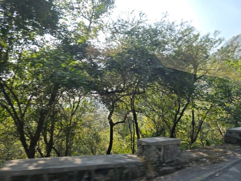 Islamabad, Islamabad Capital Territory, Pakistan — November 28, 2025 · 7:50 AM