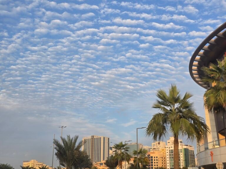 Manama, Capital Governorate, Bahrain — December 11, 2025 · 1:12 PM