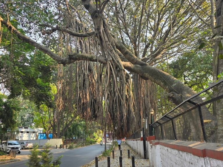 Bengaluru, Karnataka, India — March 7, 2026 · 10:36 AM