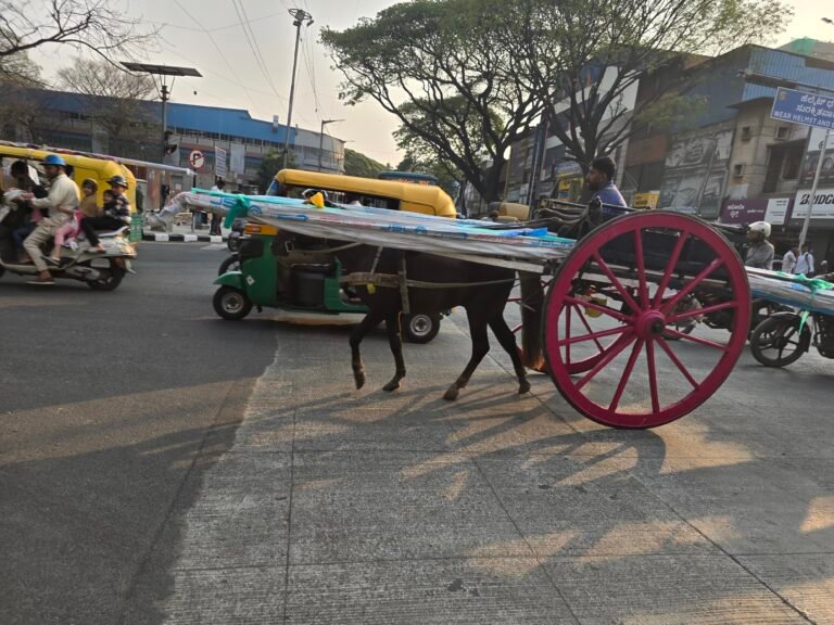 Bengaluru, Karnataka, India — March 7, 2026 · 11:37 AM