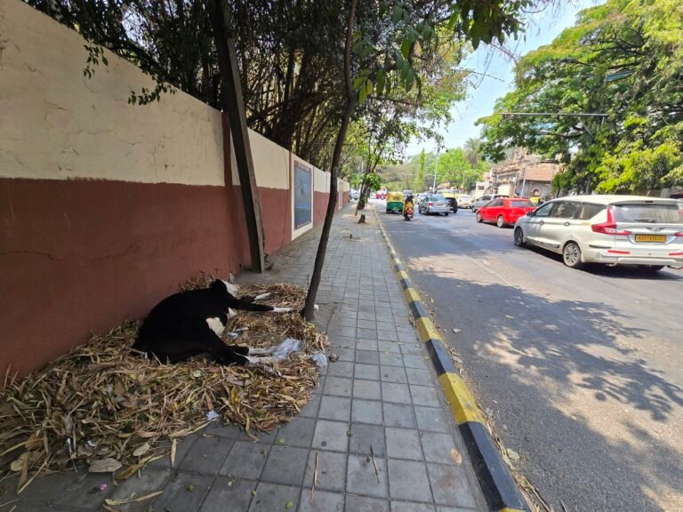 Bengaluru, Karnataka, India — March 8, 2026 · 6:43 AM
