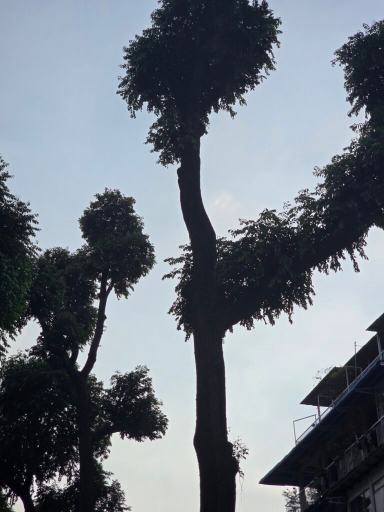 Ho Chi Minh City, Vietnam — March 15, 2026 · 10:05 AM