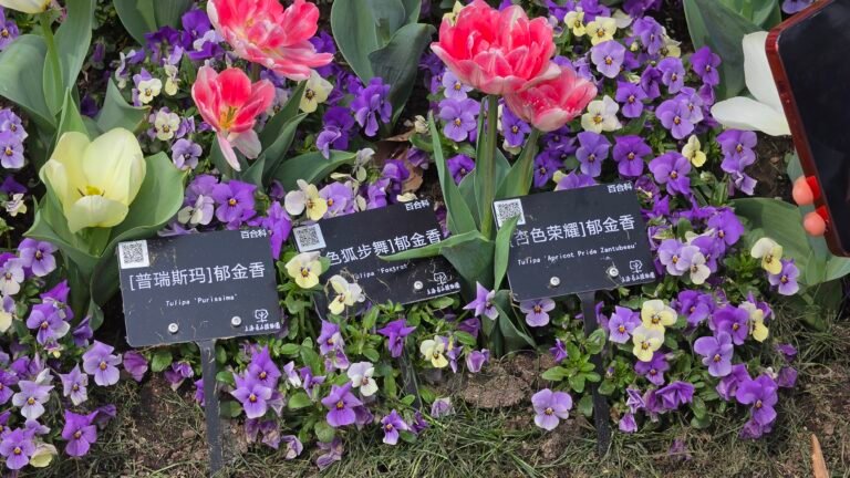 Shanghai, China — March 25, 2026 · 5:32 AM