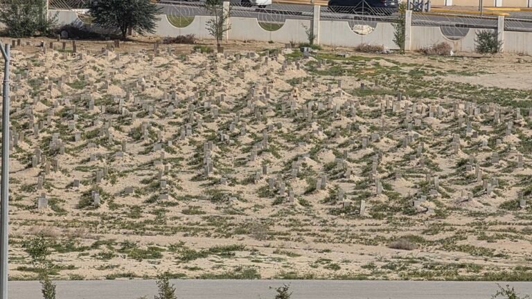Al Mubarraz, Eastern Province, Saudi Arabia — April 10, 2026 · 5:21 AM