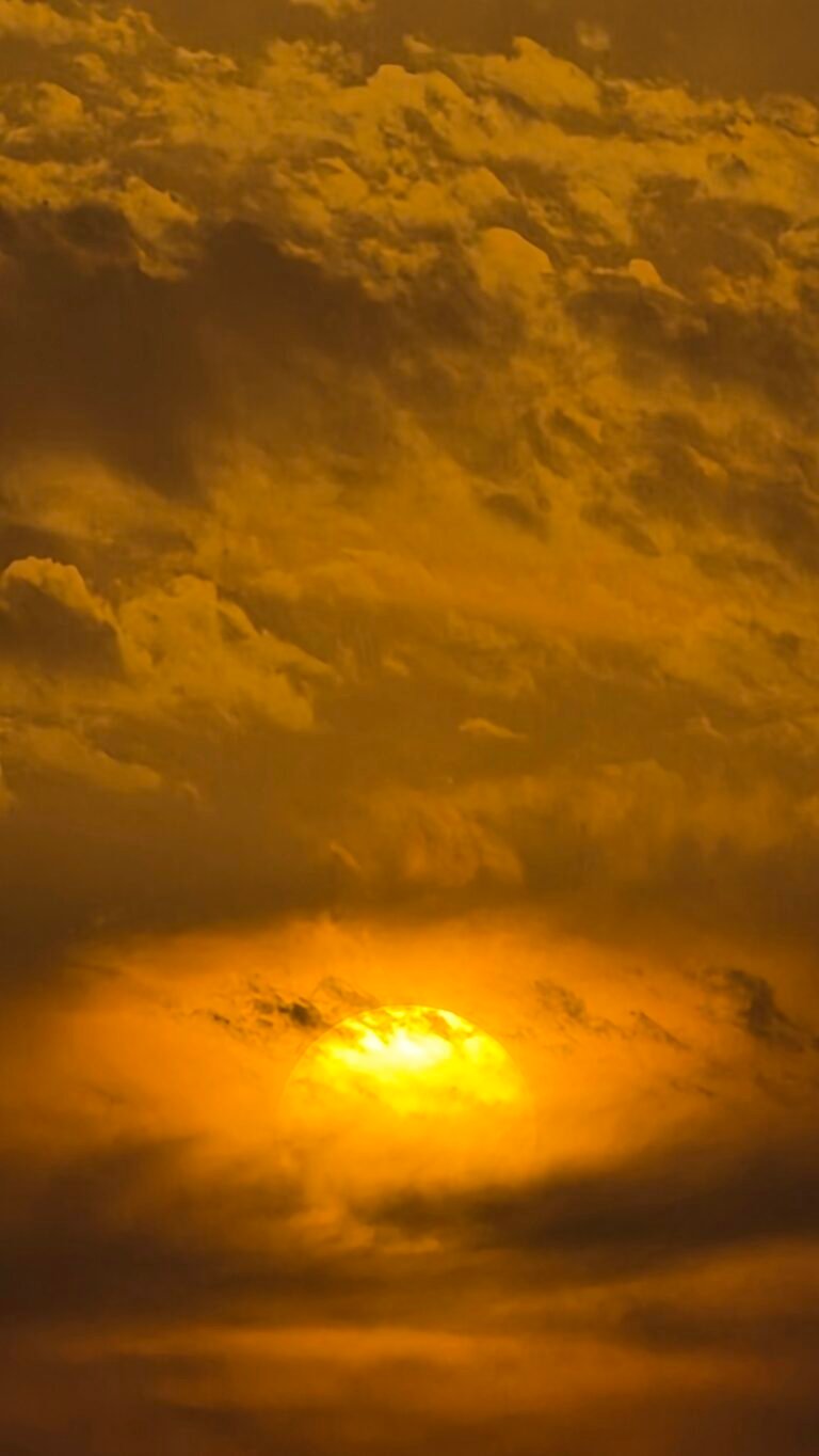 Al Mubarraz, Eastern Province, Saudi Arabia — April 24, 2026 · 2:47 PM