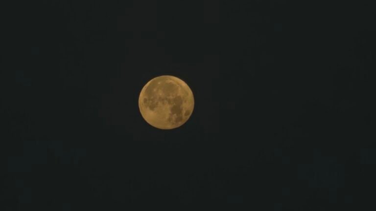 Al Mubarraz, Eastern Province, Saudi Arabia — May 2, 2026 · 1:43 AM