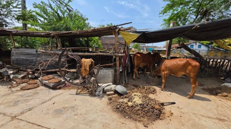 Ujjain, Madhya Pradesh, India — May 31, 2026 · 5:14 AM